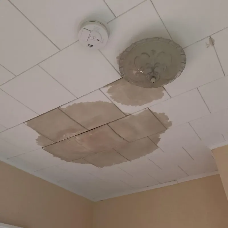 Ceiling Water Damage Repair in Parker, SD