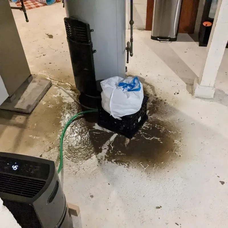Sewage Backup Cleanup Service in Parker, SD